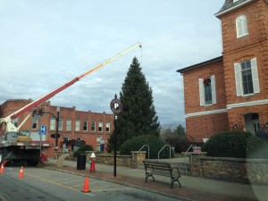 ... Brevard's Christmas tree going up today!