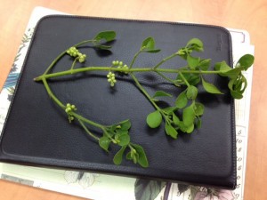 ... Marla gave me some mistletoe today... ;-)