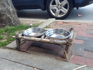 ... water bowls on the sidewalk in front of Rocky's... ;-)