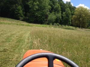 ... I learned how to drive a tractor today and mowed!... all fun except for (sort of) mowing over an apple tree and cherry tree... ;-)
